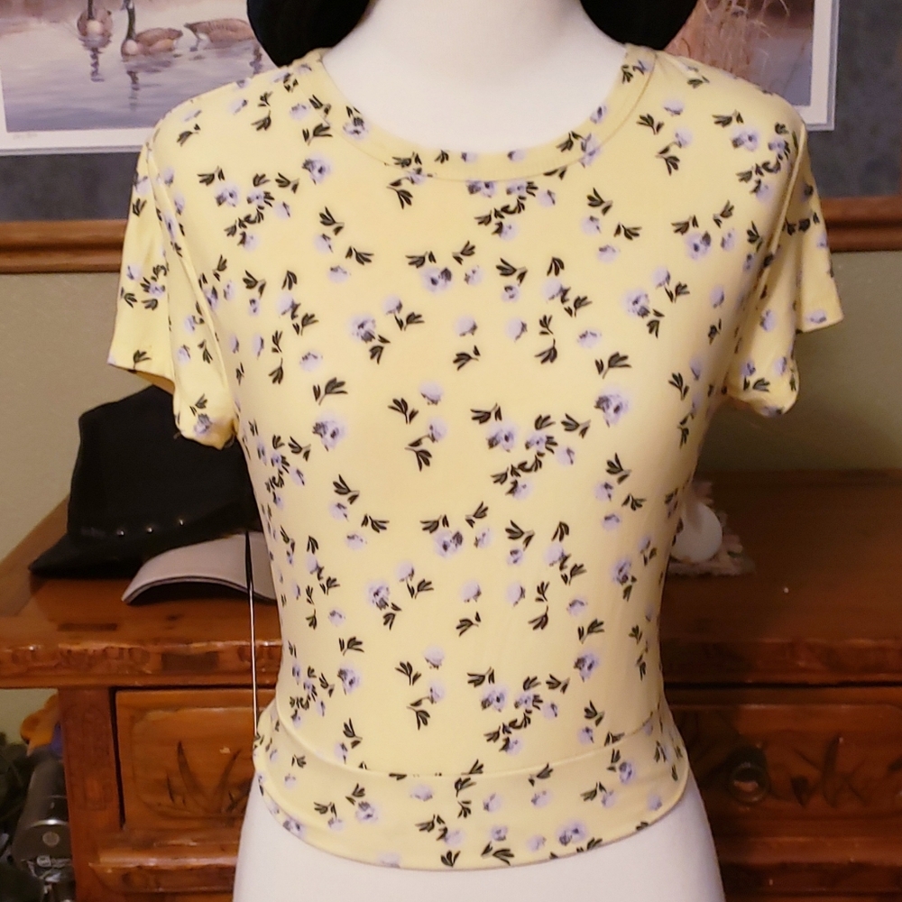 Faded Rose Top size large NWT
